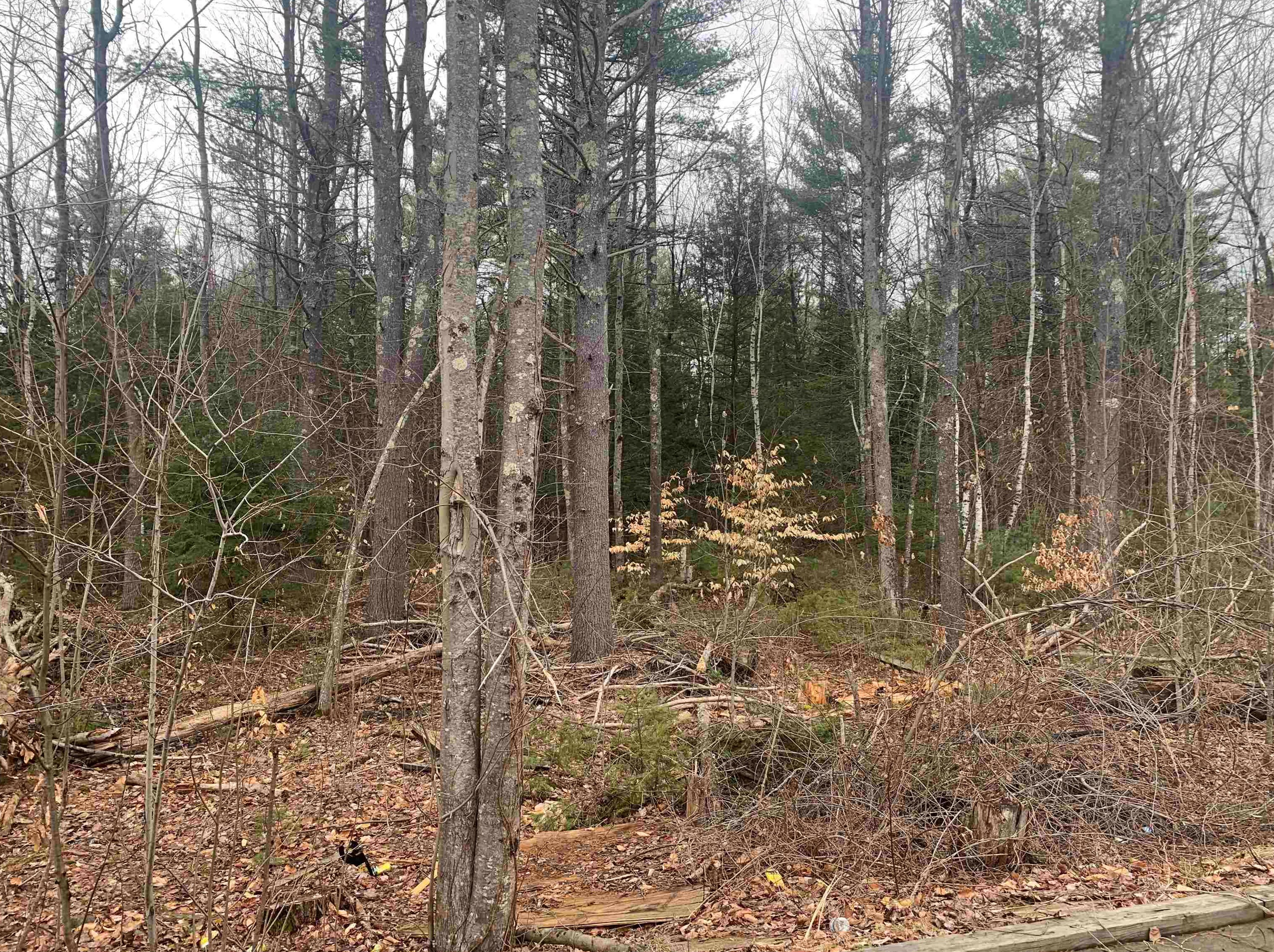 26 Brownstone Ln, Rochester NH  03867-2072 exterior