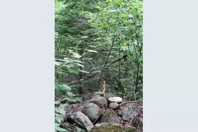 Tbd Easton Road, Sugar Hill, NH 03586 - Photo 27