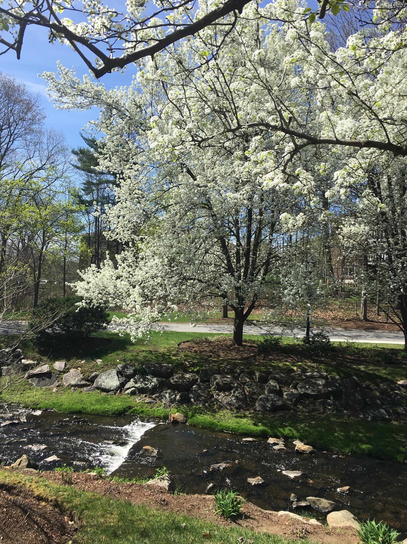 300 River Rd, Manchester NH  03106-2632 exterior