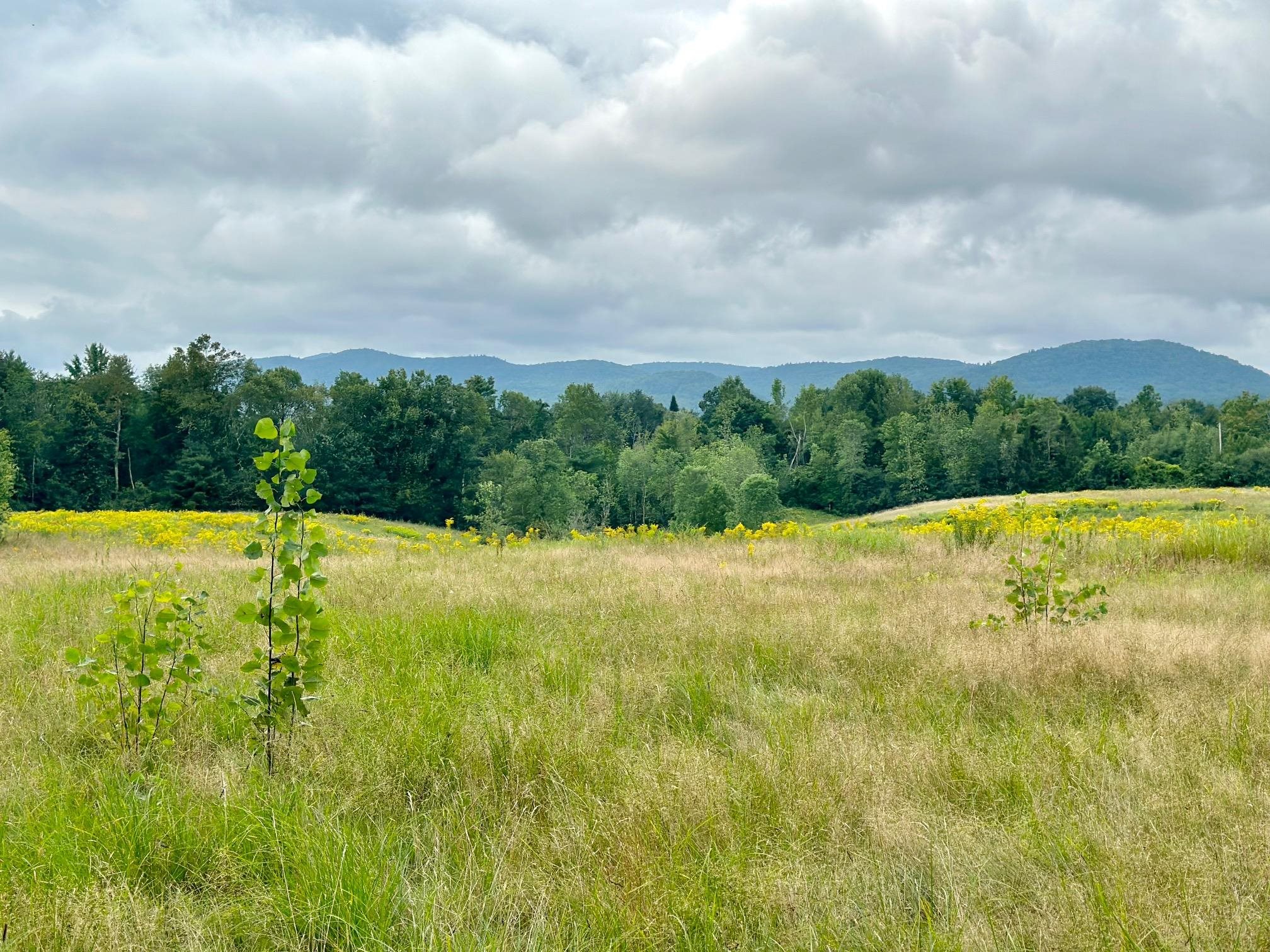 125 Old Brandon Rd, Brandon, VT 05733 MLS 4966532 Coldwell Banker