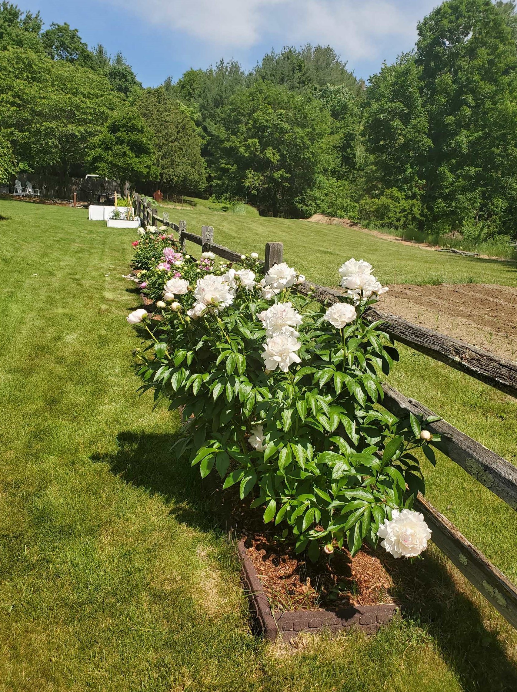 8 Canter Ct, Nashua NH  03063-2929 exterior