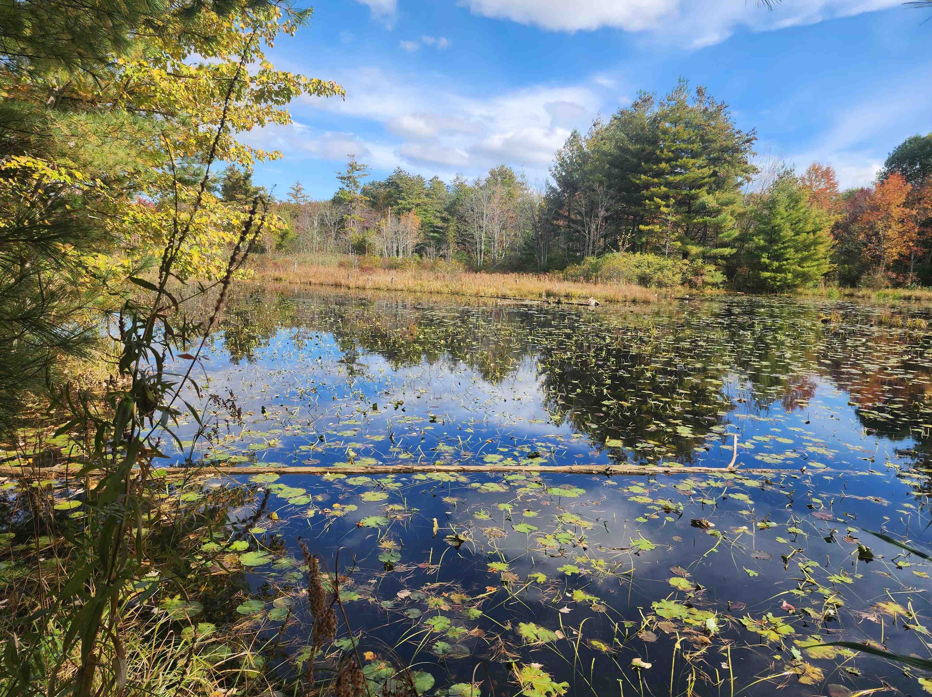 4649 Brown Ave, Manchester NH 03103-6726 exterior