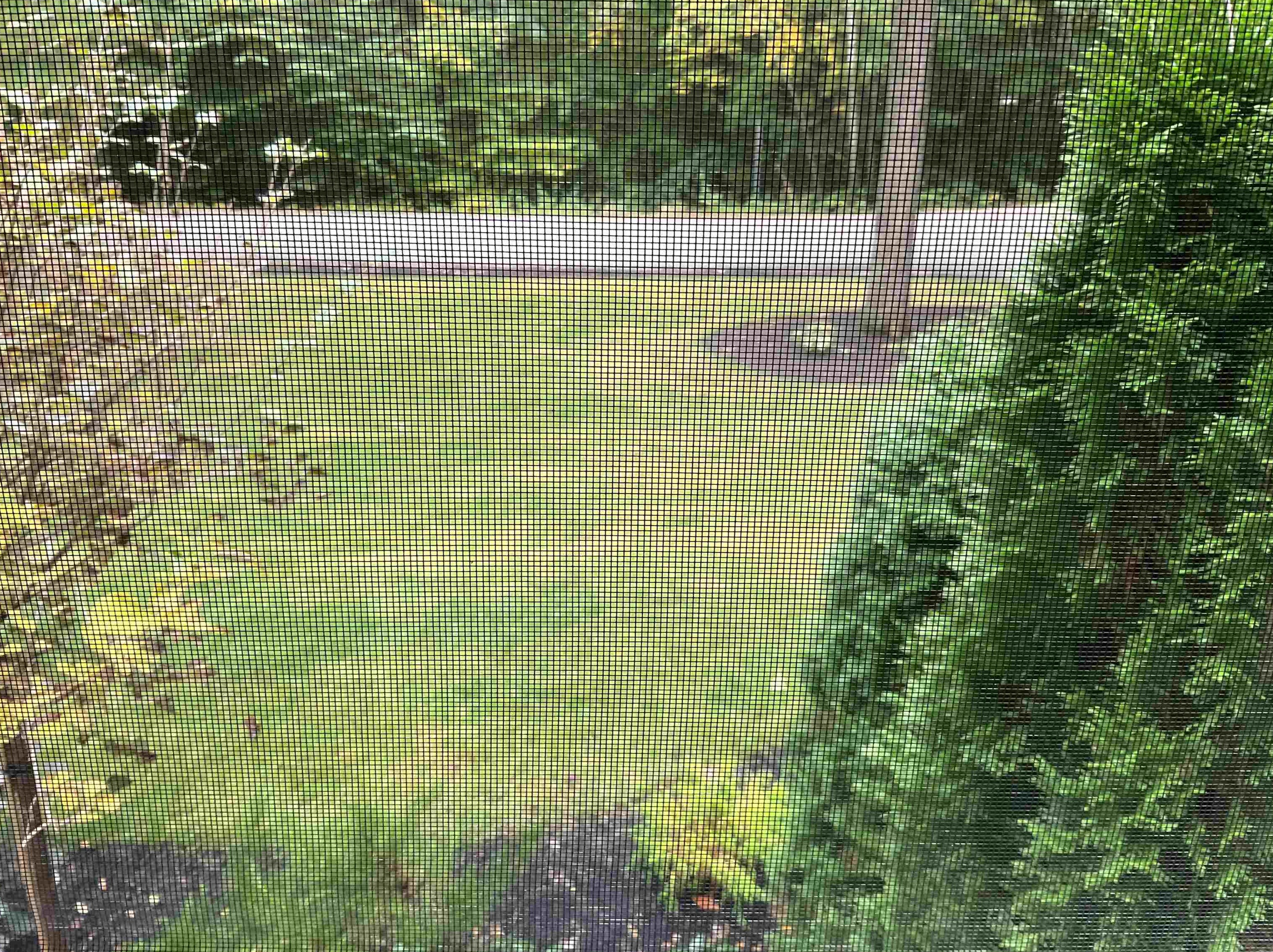 2 Kenyann Dr, Tuftonboro NH  03894-4822 exterior