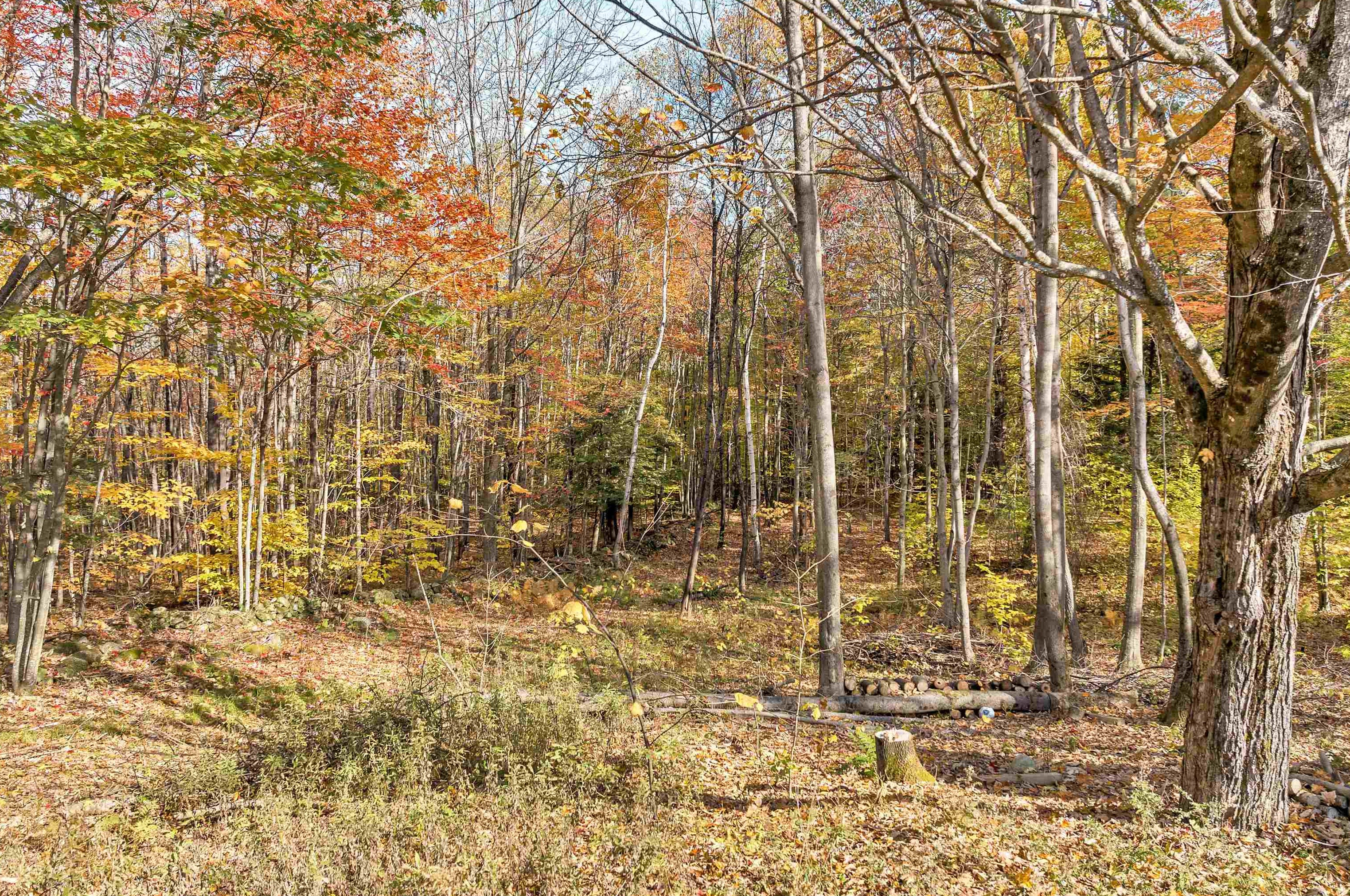 900 Mount Cardigan Rd, Bridgewater NH  03222-6203 exterior