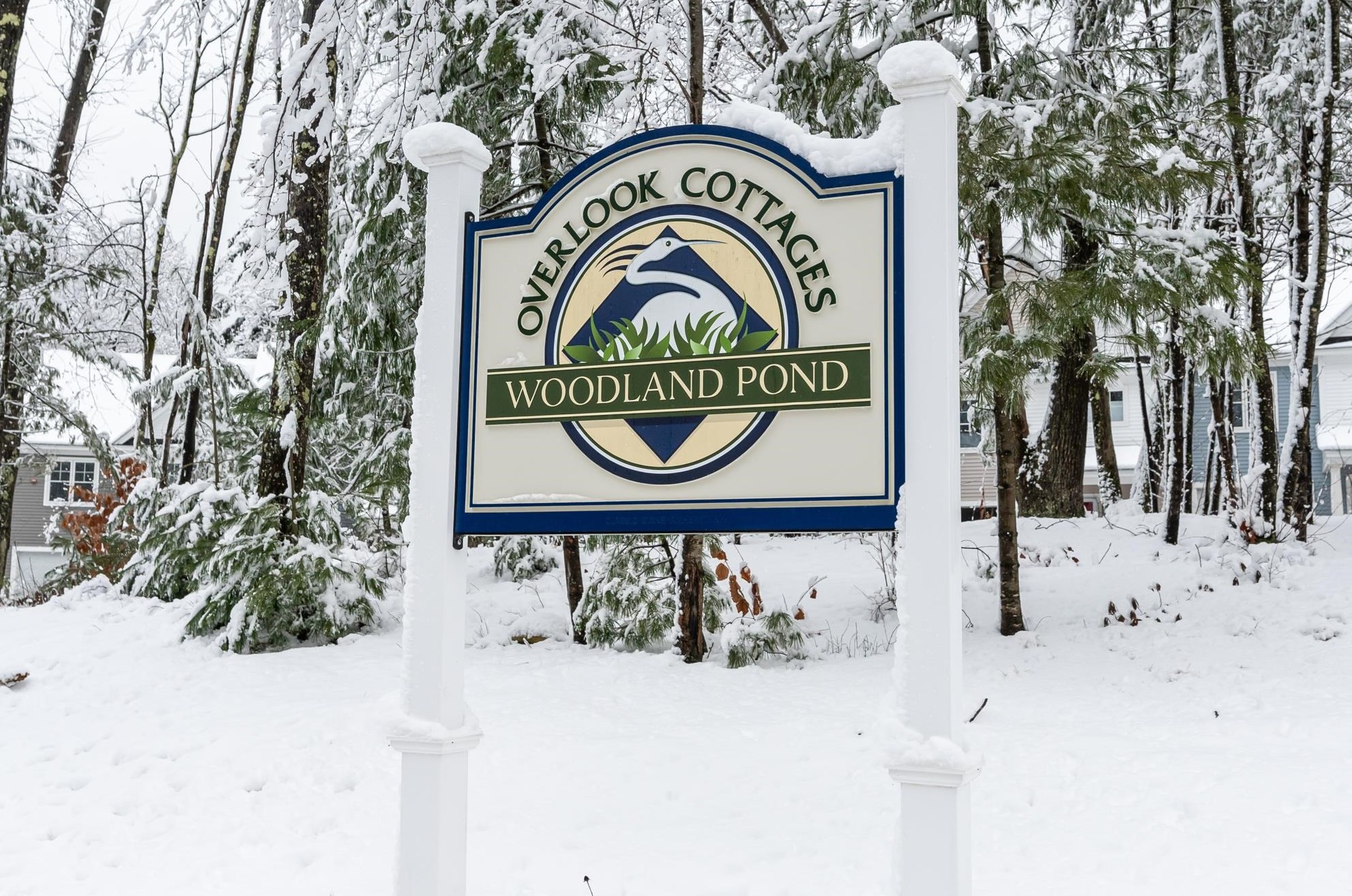 165 Knollwood Way, Manchester NH  03102 exterior