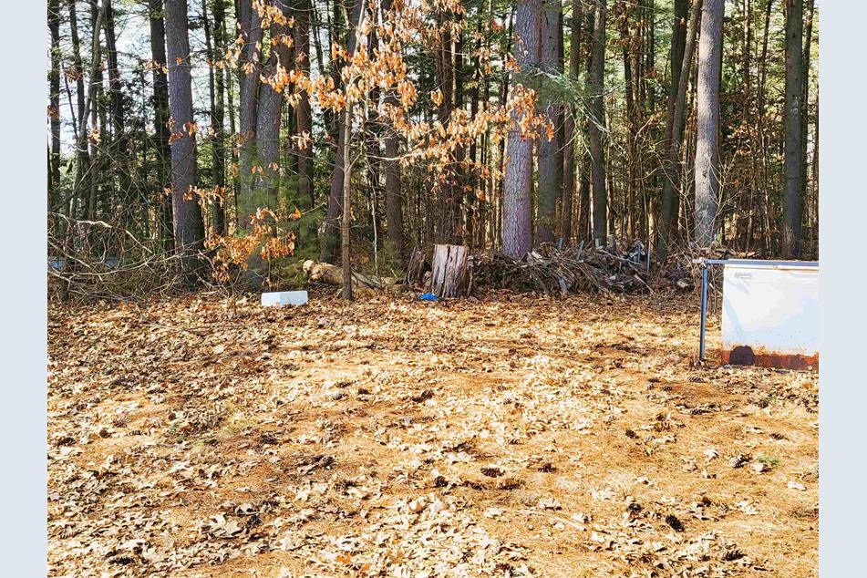 61 Plummer Rd, Bedford, NH 03110 MLS 4987721 Coldwell Banker