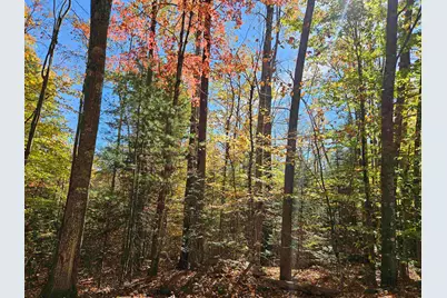 Lot 90 Faraway Road, Dalton, NH 03598 - Photo 27