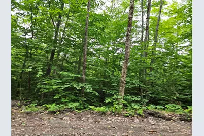 Lot 90 Faraway Road, Dalton, NH 03598 - Photo 7