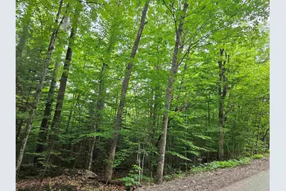 Lot 90 Faraway Road, Dalton, NH 03598 - Photo 9