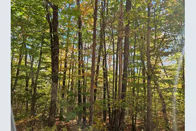 Lot 90 Faraway Road, Dalton, NH 03598 - Photo 31