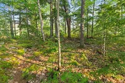 27 First Point Road, Moultonborough, NH 03254 - Photo 41