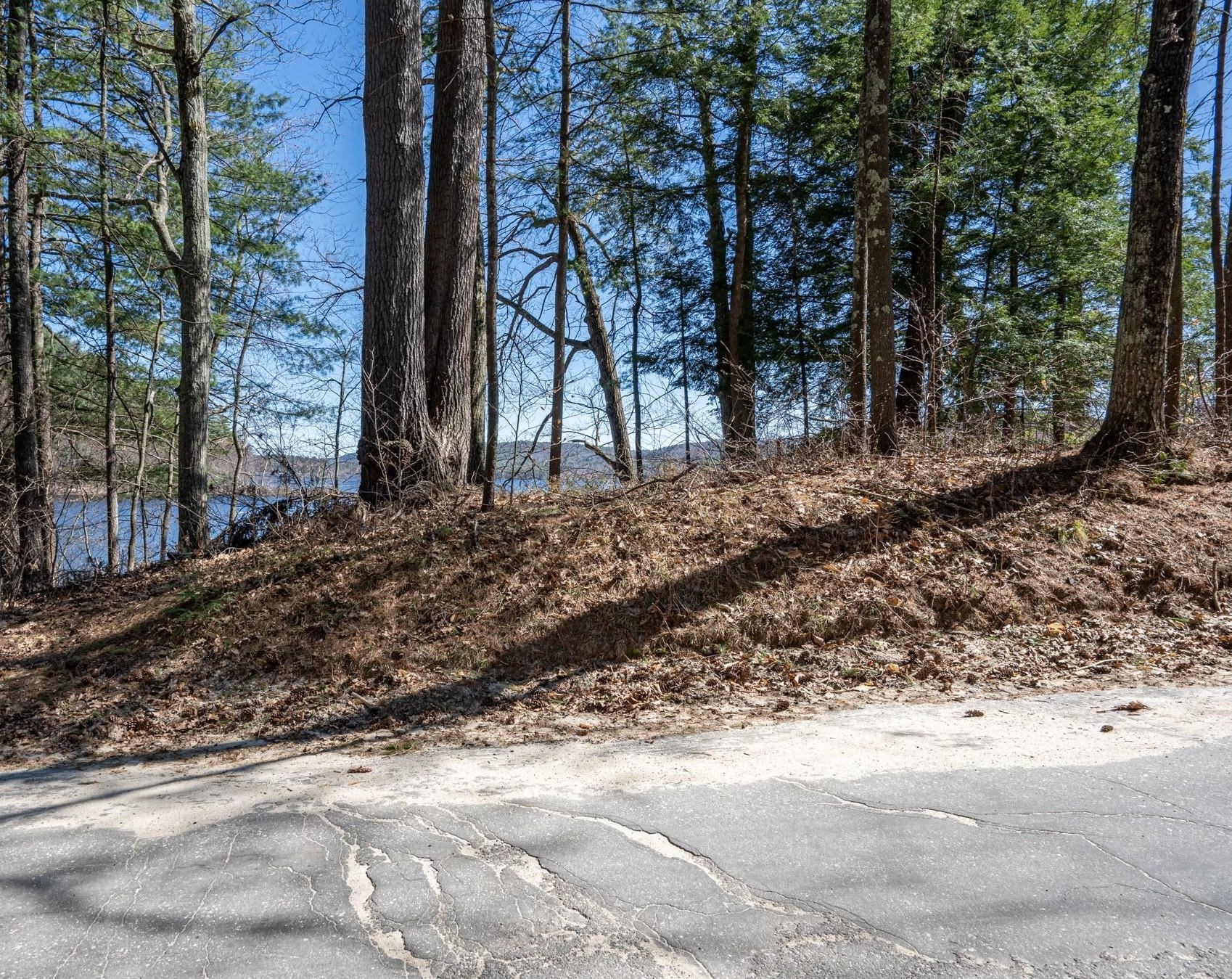 251 Breezy Hl Rd, Bradford NH  03221-3504 exterior