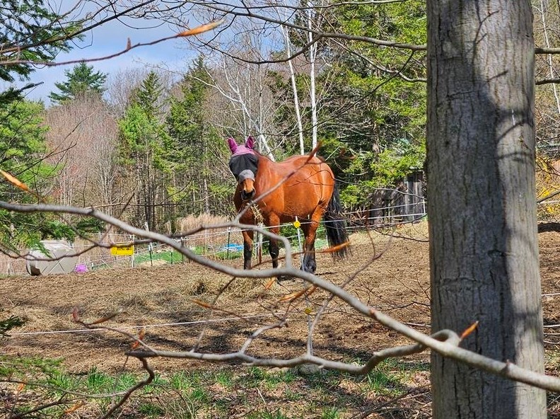 276 Apple Hill Rd, Nelson NH  03445-8552 exterior