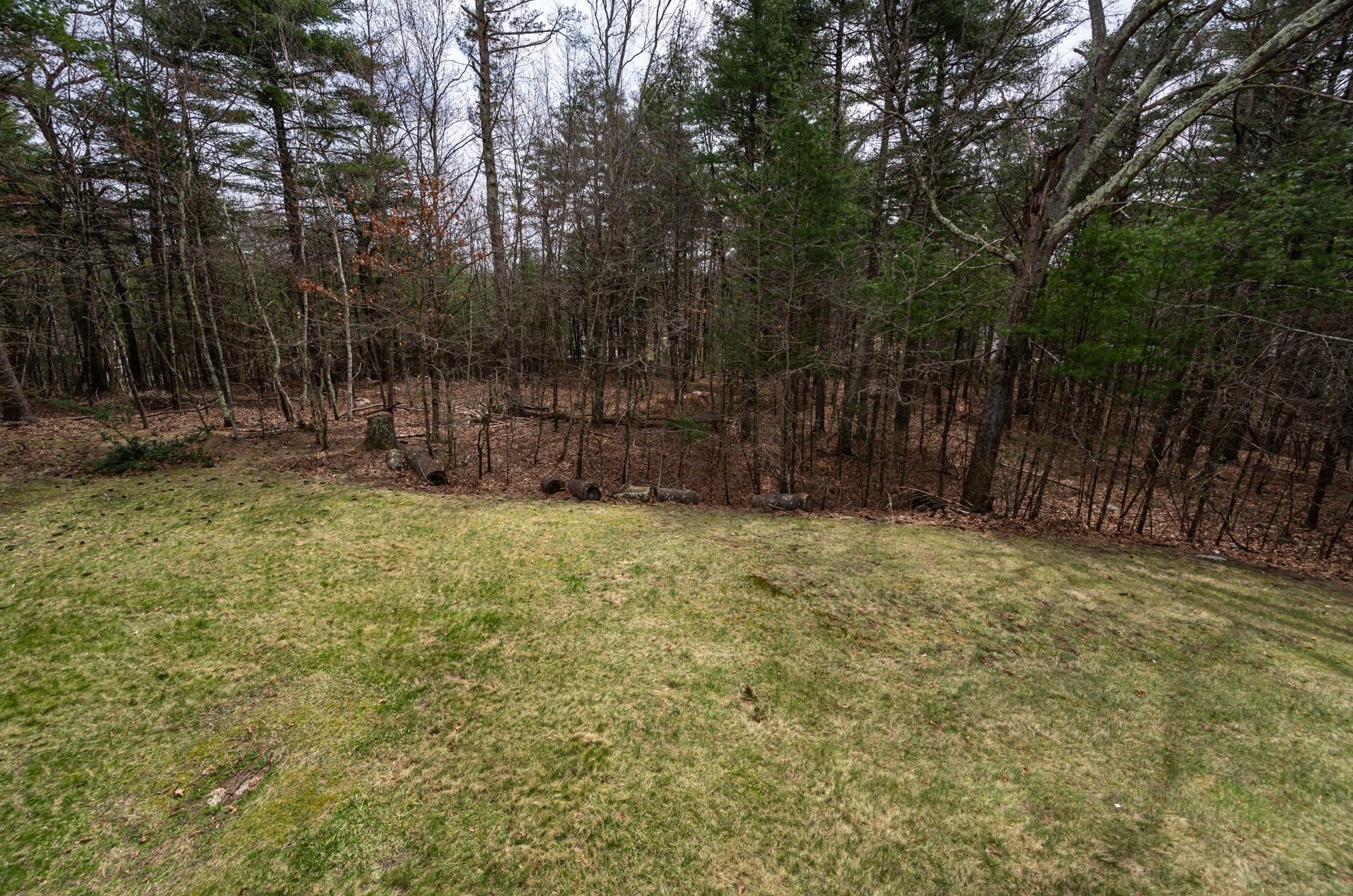 152 Porcupine Cir, Salem NH  03079-2868 exterior
