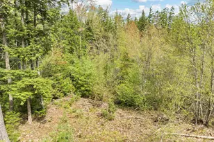 Lot 42 43 44 49 G St, Conway, NH 03818 - Photo 1
