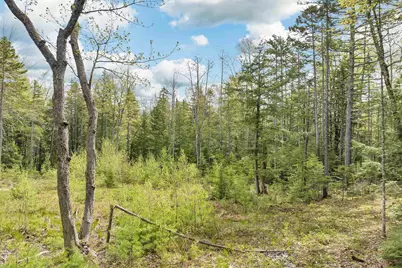 Lot 42,43,44,49 G Street, Conway, NH 03818 - Photo 9