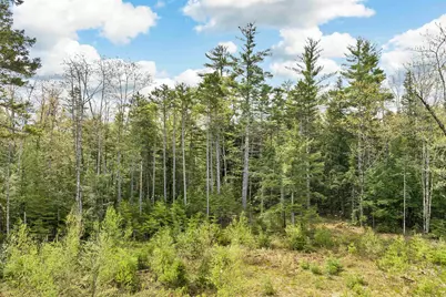 Lots42,43,44,49 G Street, Conway, NH 03818 - Photo 11