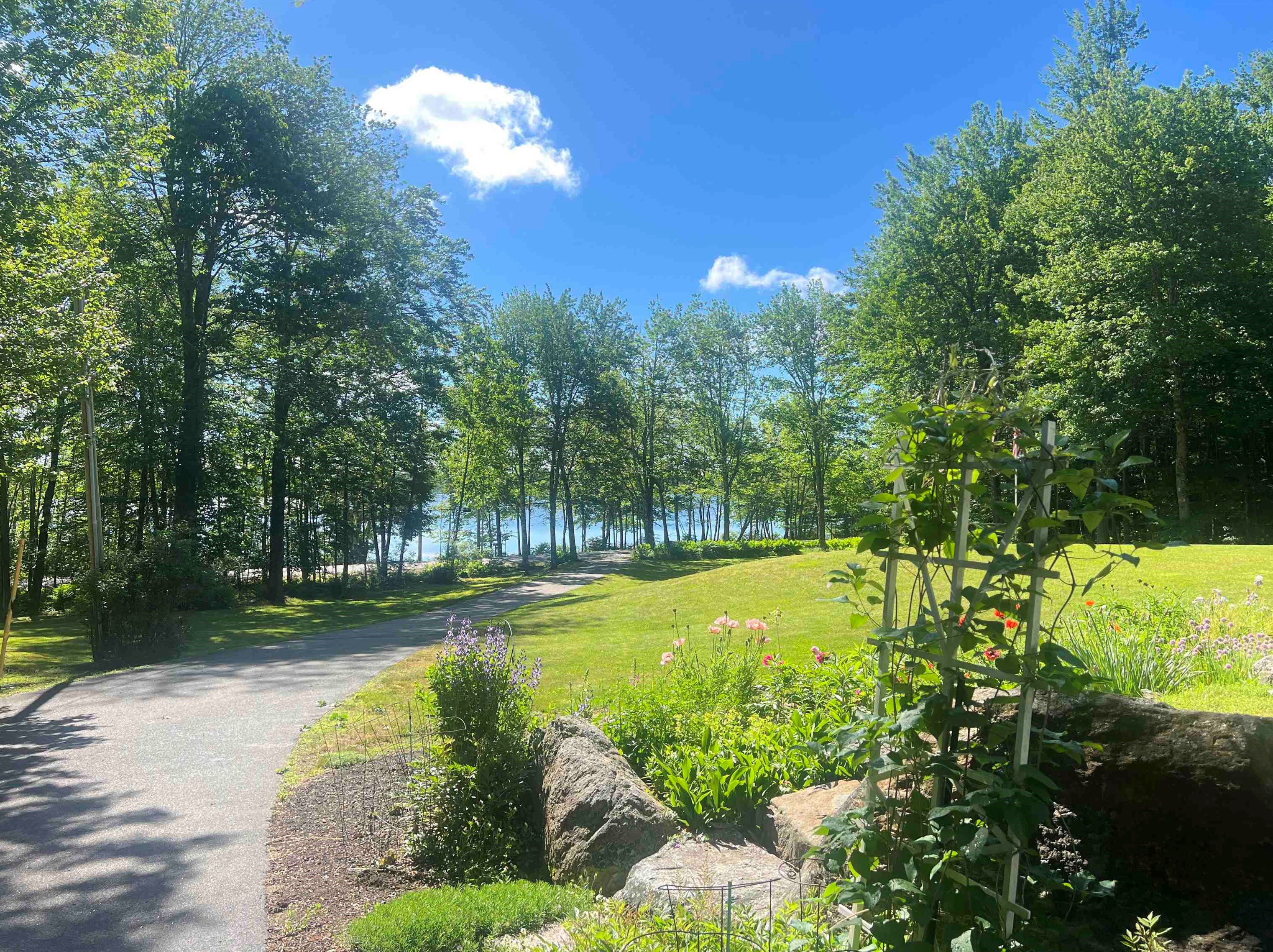 109 Jenness Pond Rd, Pittsfield NH  03263-3502 exterior