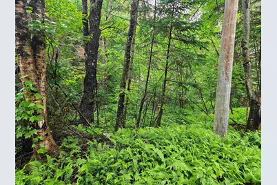 Lot 15 Hadley Road, Sugar Hill, NH 03586 - Photo 19