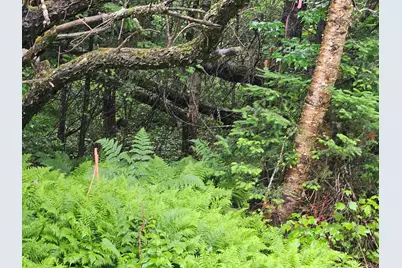 Lot 15 Hadley Road, Sugar Hill, NH 03586 - Photo 13