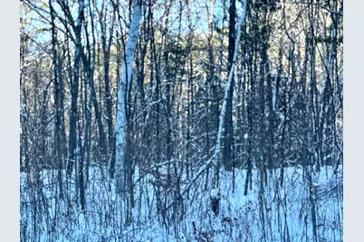 Us Route 302 #1,2, Bartlett, NH 03812 - Photo 5