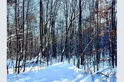 Us Route 302 #1,2, Bartlett, NH 03812 - Photo 3