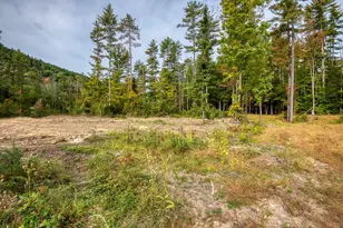 5 Lucy Brook Rd, Conway, NH 03860 - Photo 49