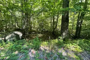 00 Whitney Rd, Henniker, NH 03242 - Photo 1