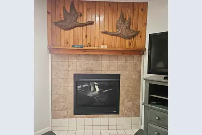 164 Deer Park Drive #161D, Woodstock, NH 03262 - Photo 5