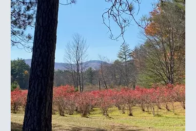 44 Pleasant View Road, Bradford, NH 03221 - Photo 23