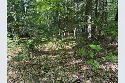 52 Appenvel Way, Madison, NH 03849 - Photo 5