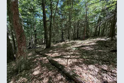 52 Appenvel Way, Madison, NH 03849 - Photo 9