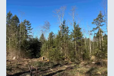 Lot 11-5 Ball Park Road, Goshen, NH 03752 - Photo 9