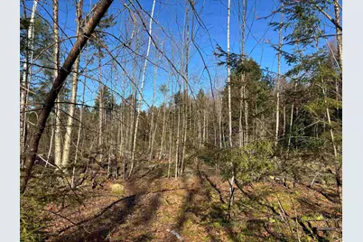 Lot 11-5 Ball Park Road, Goshen, NH 03752 - Photo 11