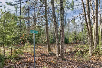 Camp Road #14, Wolfeboro, NH 03894 - Photo 3