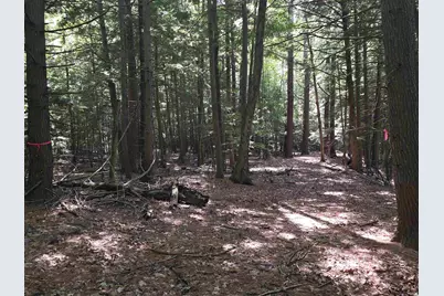 Claremont Road, Charlestown, NH 03603 - Photo 3