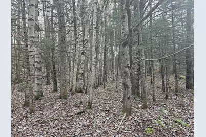 461 Hill Road #Map R14, Lot 4  ( land only), Dummer, NH 03588 - Photo 5