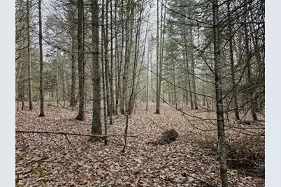 461 Hill Road #Map R14, Lot 4  ( land only), Dummer, NH 03588 - Photo 7