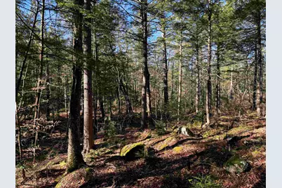 481 Chocorua Mountain Highway, Tamworth, NH 03886 - Photo 5