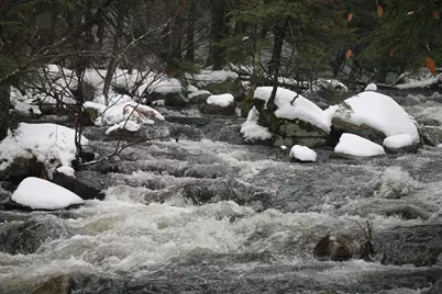 481 Chocorua Mountain Highway, Tamworth, NH 03886 - Photo 1