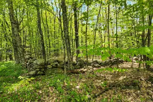 000 South Village Rd, Westmoreland, NH 03467 - Photo 1