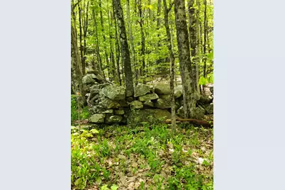 000 South Village Road #R13-13, Westmoreland, NH 03467 - Photo 3