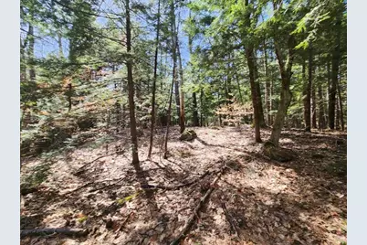 0 West Main Street, Hillsboro, NH 03244 - Photo 3