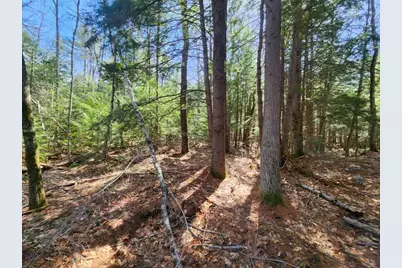 0 West Main Street, Hillsboro, NH 03244 - Photo 35