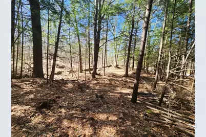 0 West Main Street, Hillsboro, NH 03244 - Photo 23