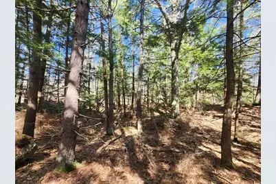 0 West Main Street, Hillsboro, NH 03244 - Photo 45