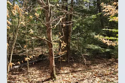 0 West Main Street, Hillsboro, NH 03244 - Photo 17