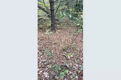 91 Whittemore Road, Pembroke, NH 03275 - Photo 11