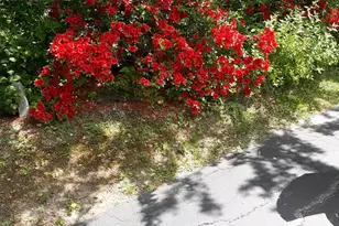 187 King St, Boscawen, NH 03303 - Photo 45