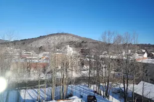 30 Beech St, Bristol, NH 03222 - Photo 11